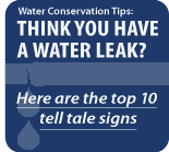 Think you have a water leak? link